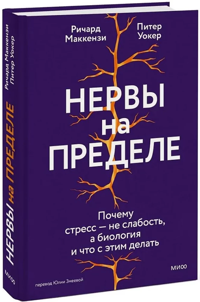 Nerwy na skraju. Dlaczego stres to nie słabość, a biologia, i co z tym zrobić