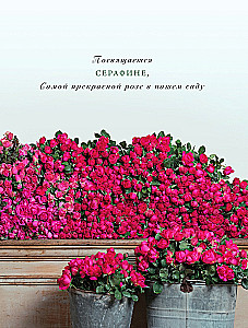 Садовые розы. Полное руководство по выращиванию, уходу и созданию потрясающих букетов
