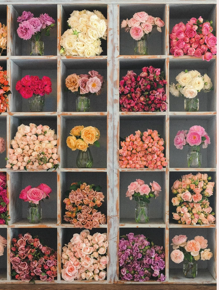 Садовые розы. Полное руководство по выращиванию, уходу и созданию потрясающих букетов