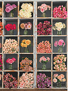 Садовые розы. Полное руководство по выращиванию, уходу и созданию потрясающих букетов