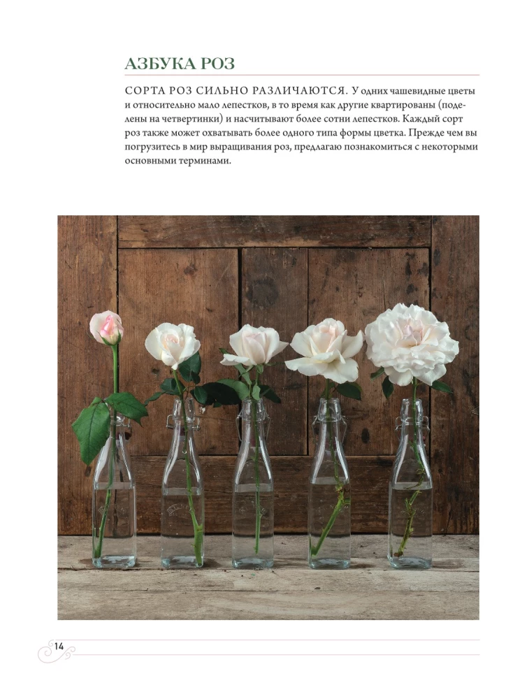 Садовые розы. Полное руководство по выращиванию, уходу и созданию потрясающих букетов