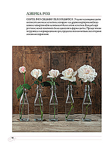 Садовые розы. Полное руководство по выращиванию, уходу и созданию потрясающих букетов