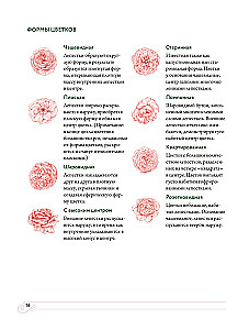 Садовые розы. Полное руководство по выращиванию, уходу и созданию потрясающих букетов