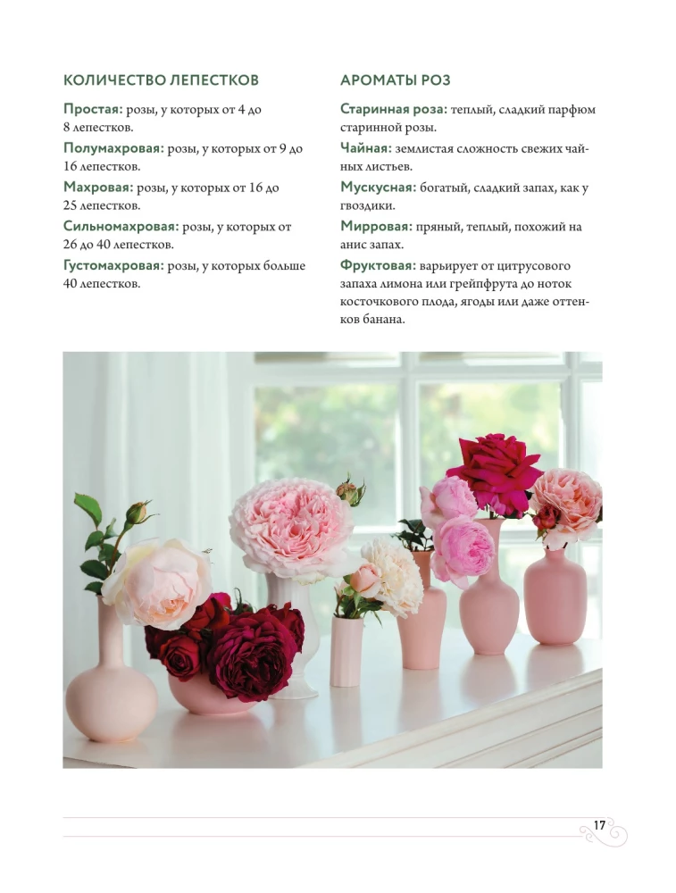 Садовые розы. Полное руководство по выращиванию, уходу и созданию потрясающих букетов