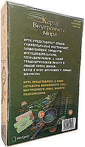 Transformacyjna gra psychologiczna - Mapa wewnętrznego świata