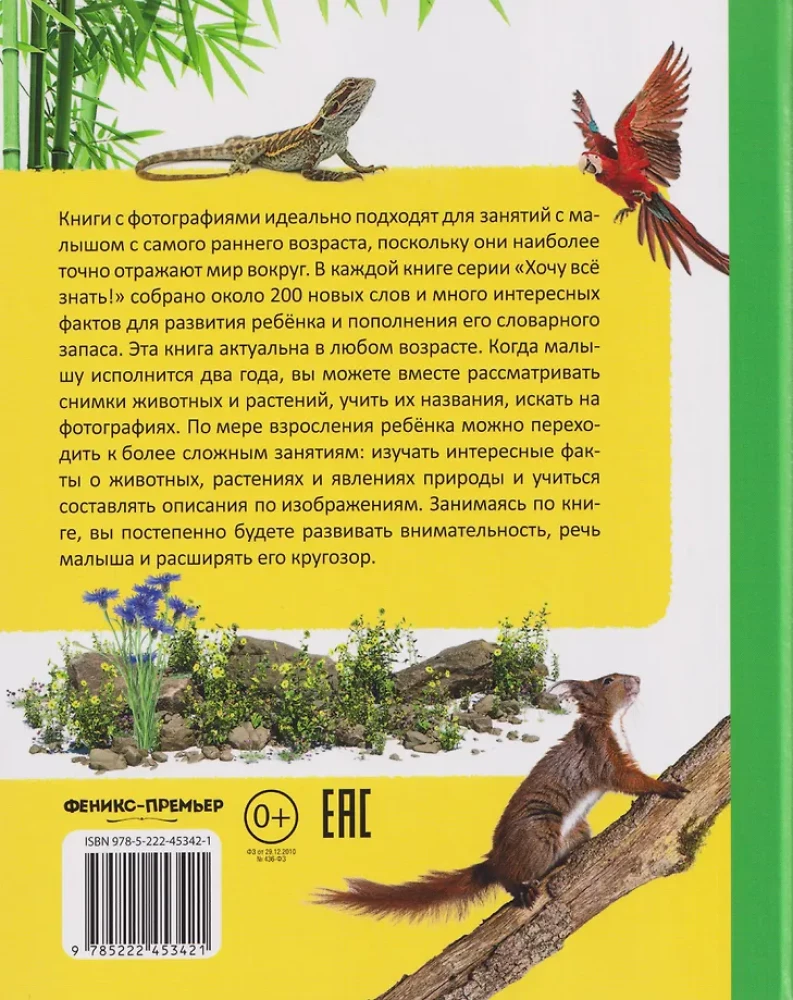 My Big Book About Nature