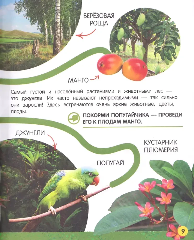 My Big Book About Nature