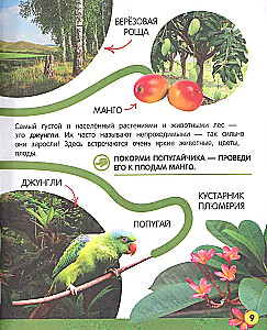 My Big Book About Nature