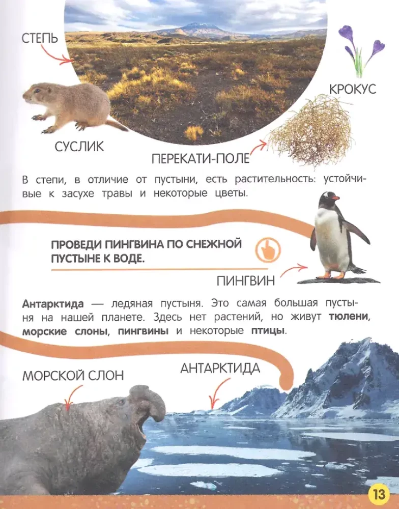 My Big Book About Nature