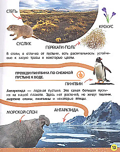 My Big Book About Nature