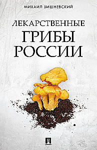 Lecznicze grzyby Rosji