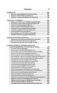 Lecznicze grzyby Rosji