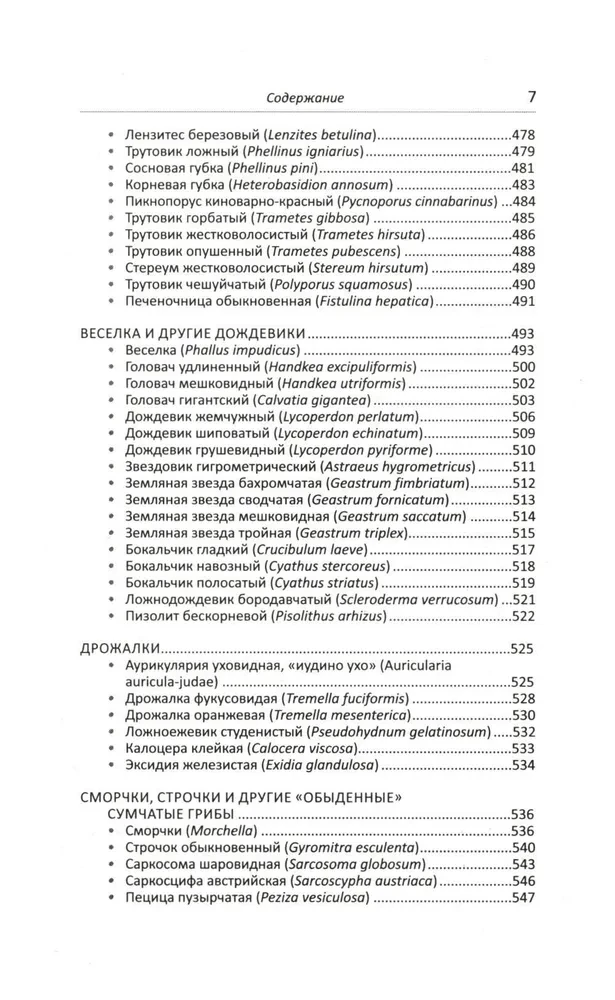 Lecznicze grzyby Rosji