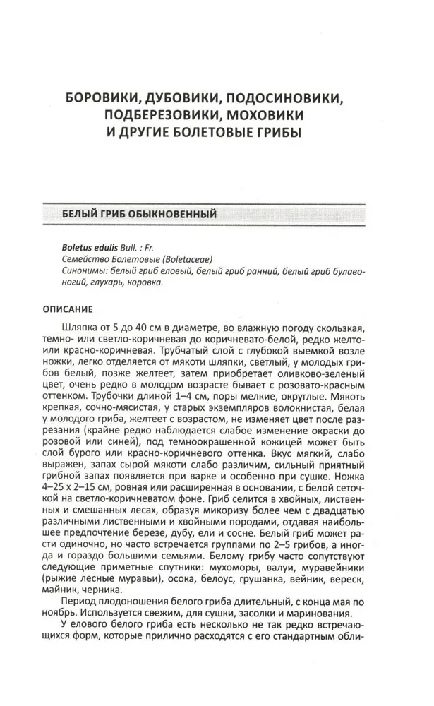 Lecznicze grzyby Rosji