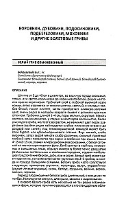 Lecznicze grzyby Rosji