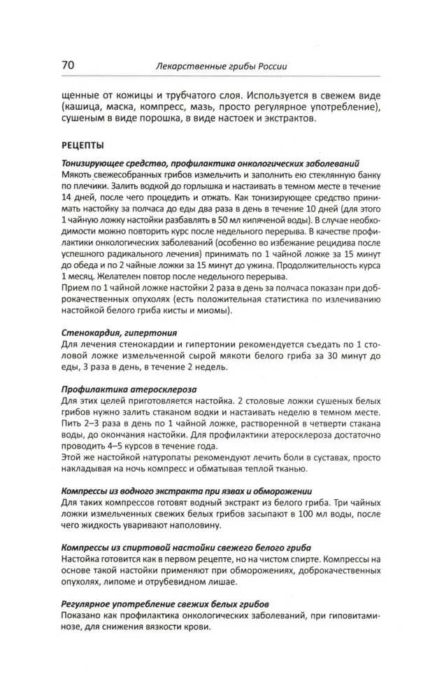 Lecznicze grzyby Rosji