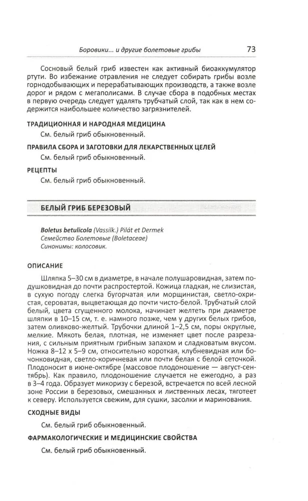 Lecznicze grzyby Rosji