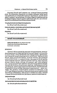 Lecznicze grzyby Rosji