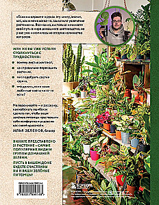 Zielony pokój. Jak zostać władcą domowych dżungli