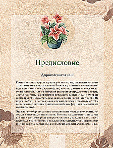 Zielony pokój. Jak zostać władcą domowych dżungli