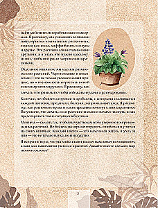 Zielony pokój. Jak zostać władcą domowych dżungli