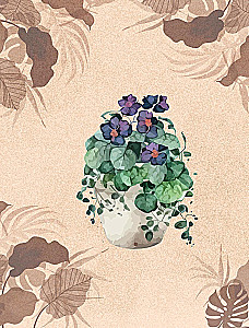 Zielony pokój. Jak zostać władcą domowych dżungli