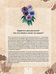 Zielony pokój. Jak zostać władcą domowych dżungli