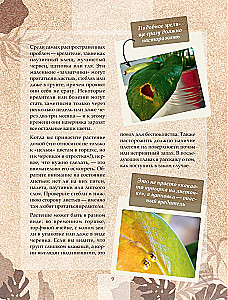 Zielony pokój. Jak zostać władcą domowych dżungli