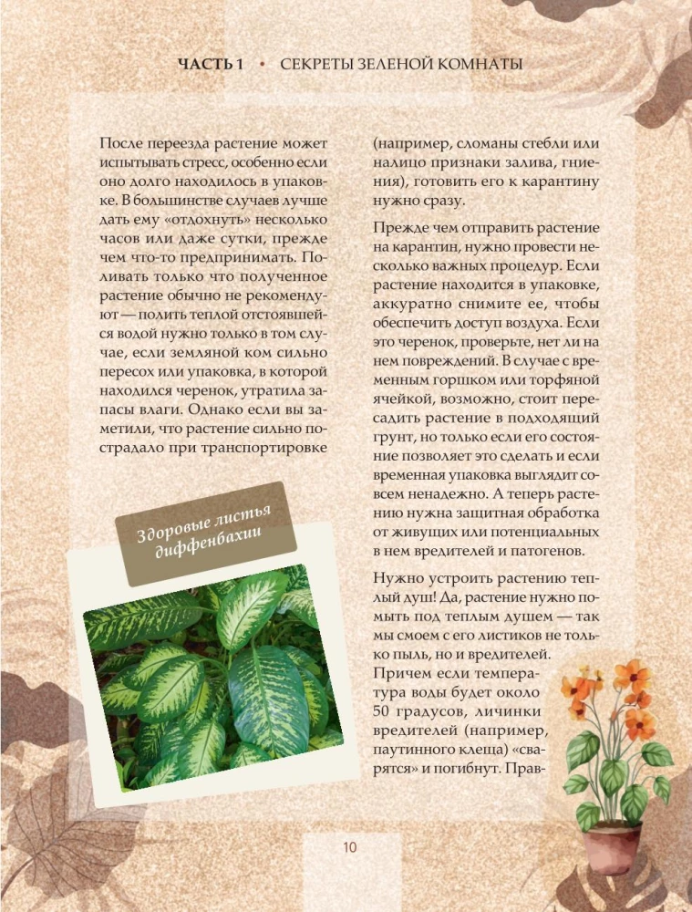 Zielony pokój. Jak zostać władcą domowych dżungli