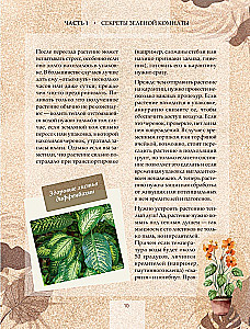 Zielony pokój. Jak zostać władcą domowych dżungli