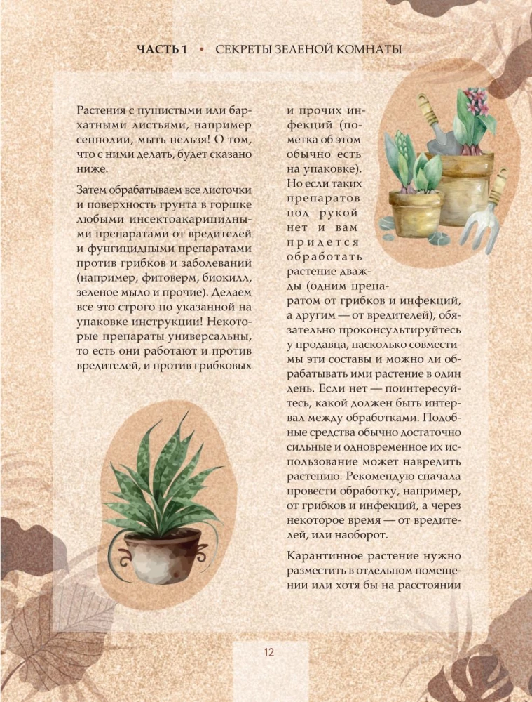 Zielony pokój. Jak zostać władcą domowych dżungli