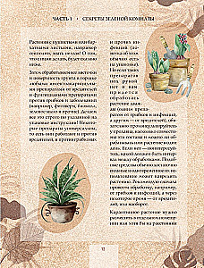 Zielony pokój. Jak zostać władcą domowych dżungli