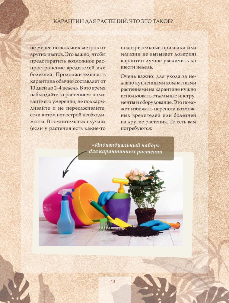 Zielony pokój. Jak zostać władcą domowych dżungli