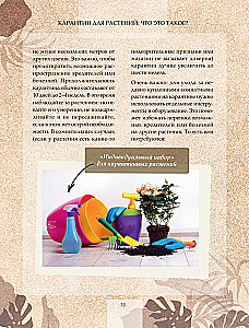 Zielony pokój. Jak zostać władcą domowych dżungli