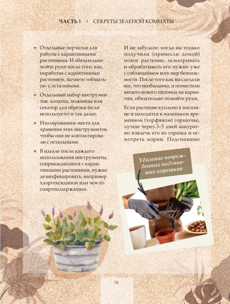 Zielony pokój. Jak zostać władcą domowych dżungli