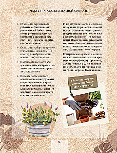 Zielony pokój. Jak zostać władcą domowych dżungli