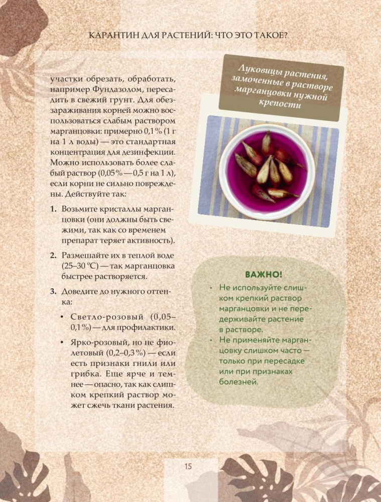 Zielony pokój. Jak zostać władcą domowych dżungli