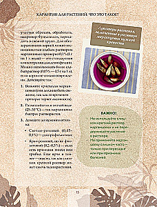 Zielony pokój. Jak zostać władcą domowych dżungli