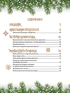 Książka noworocznego nastroju. Wszystko o głównym święcie zimy: od dekorowania choinki po tworzenie ciepłych wspomnień