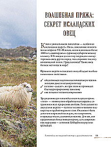 LOPAPEJSA od A do Z. Pełne, krok po kroku, przewodnik po robieniu prawdziwego islandzkiego swetra