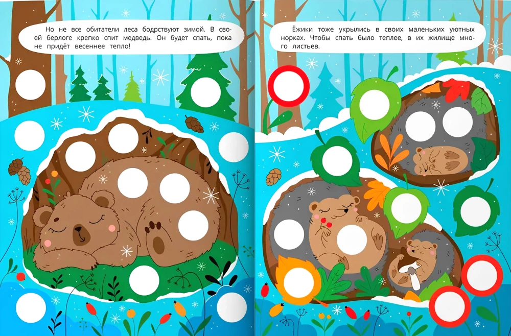 In the Winter Forest. Sticker Book