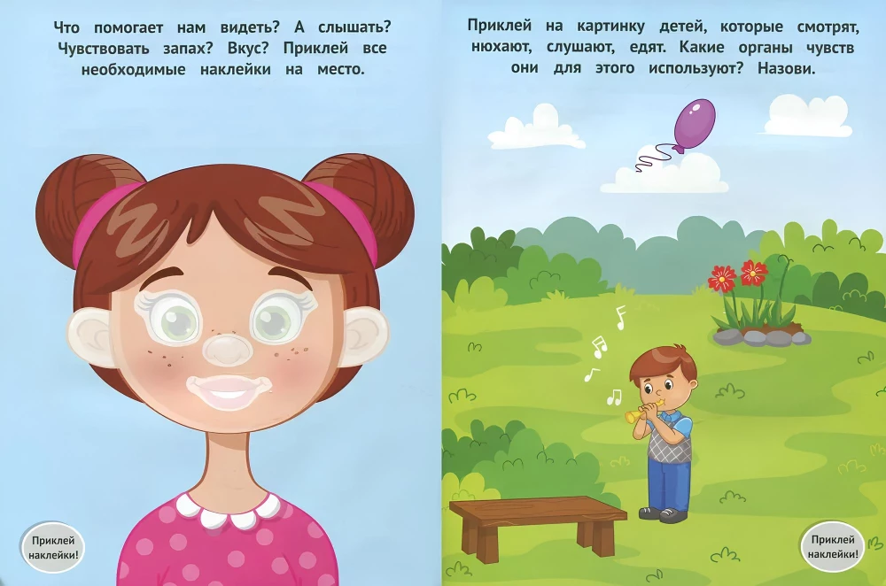 My Body. Sticker Book