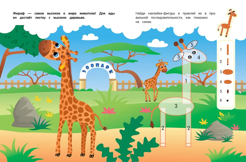 Zoo. Sticker Book
