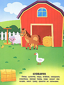 Amazing Animals. Sticker Book