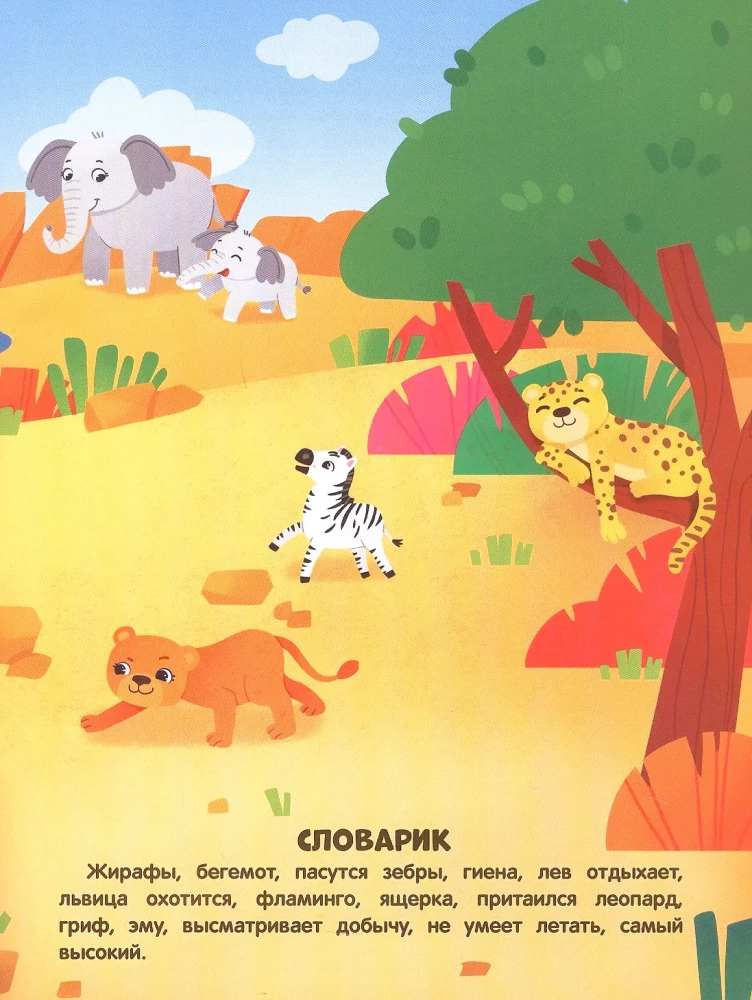 Amazing Animals. Sticker Book