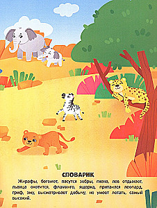 Amazing Animals. Sticker Book