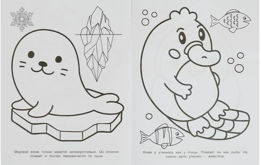 Необычные животные