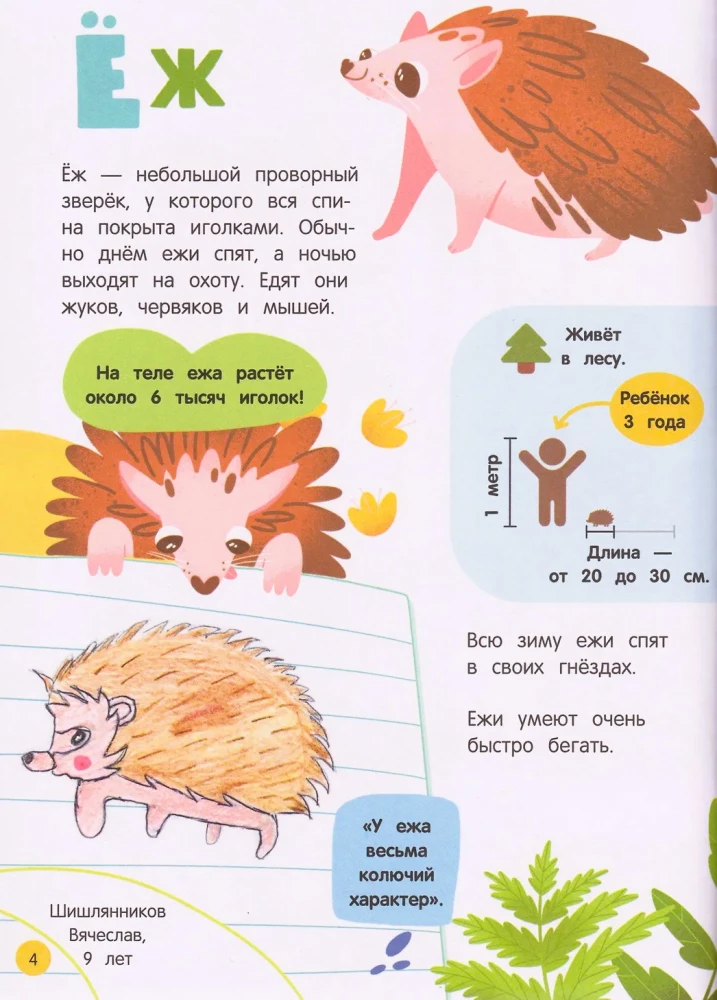 The World of Animals: Nature's Mysteries Through the Eyes of Children