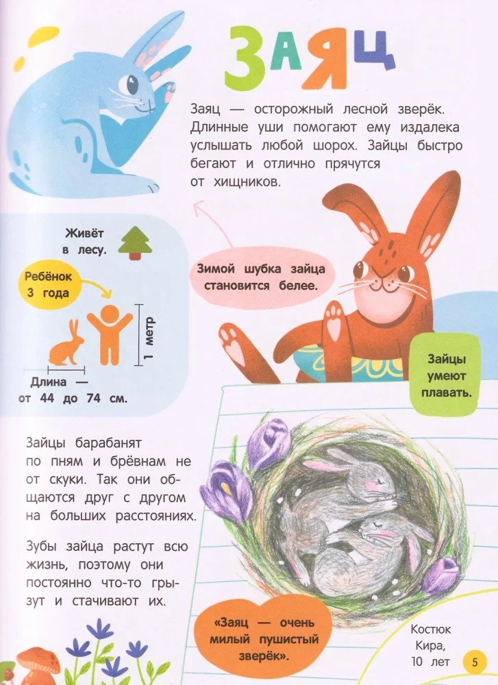 The World of Animals: Nature's Mysteries Through the Eyes of Children