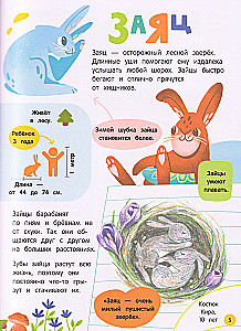 The World of Animals: Nature's Mysteries Through the Eyes of Children